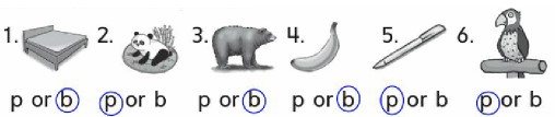 p or b